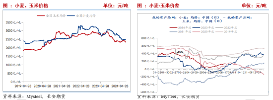 阶段性供需宽松 玉米短期价格或表现弱势